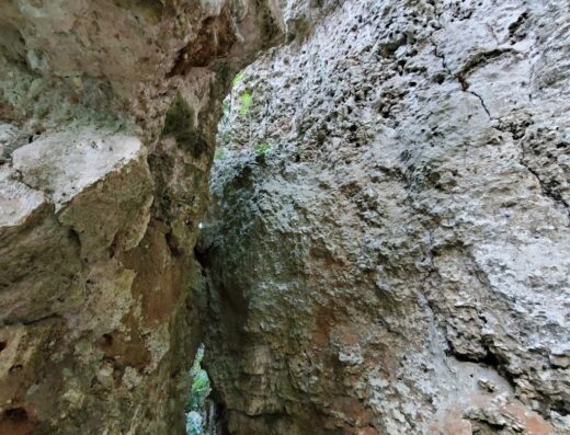 Mirador Julio Enrique Monagas