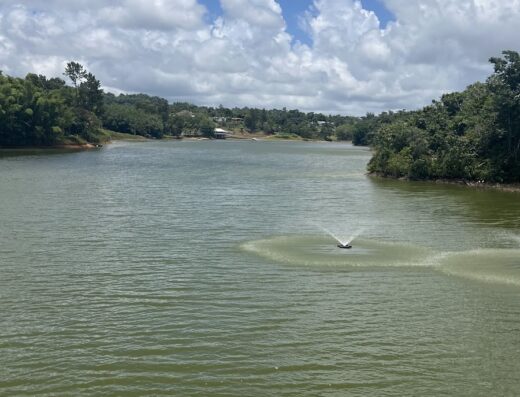 Cidra Lake Viewpoint