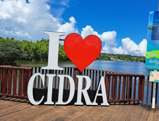 Cidra Lake Viewpoint