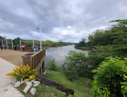 Cidra Lake Viewpoint