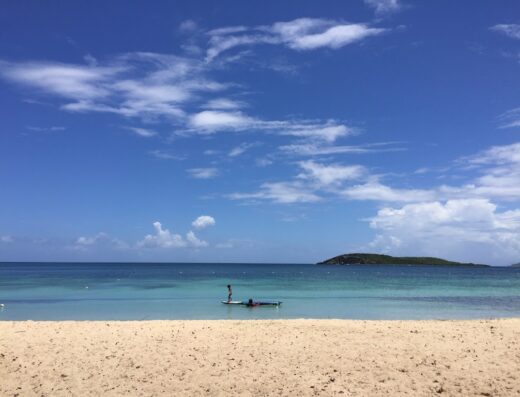 Abe’s Snorkeling & Biobay Tours