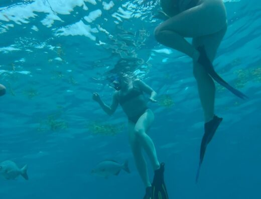 Manta Ray Boat & Snorkeling Experience