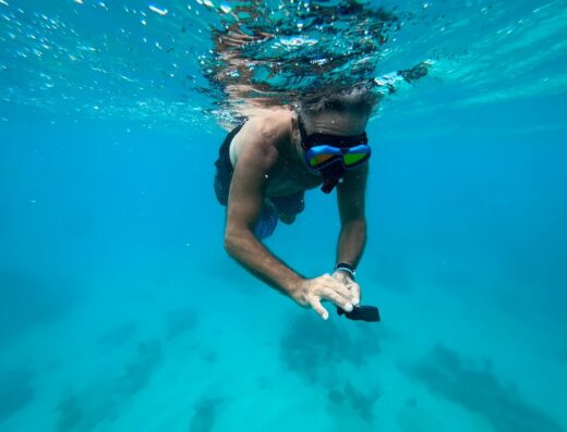 Manta Ray Boat & Snorkeling Experience