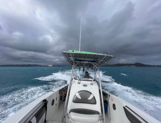 Manta Ray Boat & Snorkeling Experience