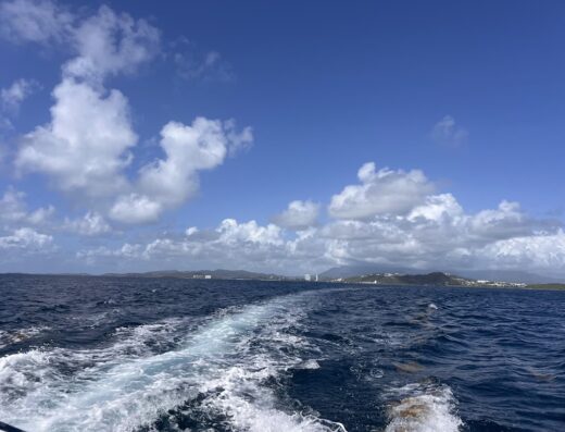 Catamaran BAREFOOT IV