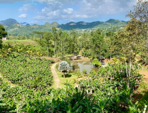 Balcón mirador (photo spot) Lares