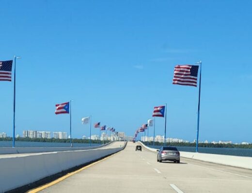 Teodoro Moscoso Bridge