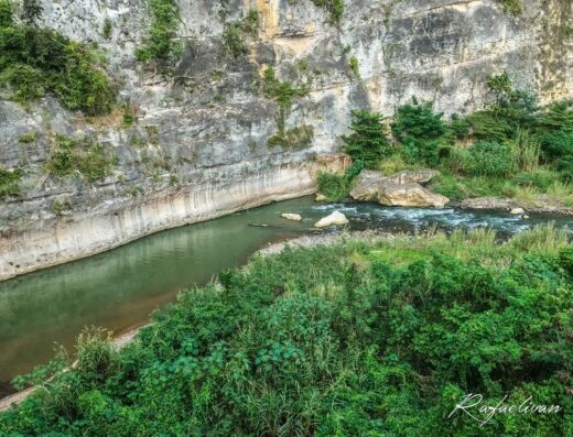 Puente Mata de Plátanos “Ingeniero Juan José Jiménez”