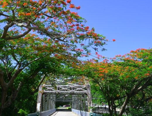 Trujillo Alto Historic Bridge