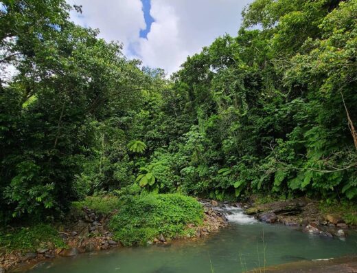 Hacienda Monte Rey Ecoturismo & Agricultura