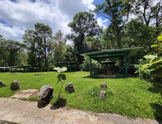 Toro Negro State Forest – Camping Site