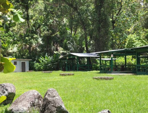 Toro Negro State Forest – Camping Site