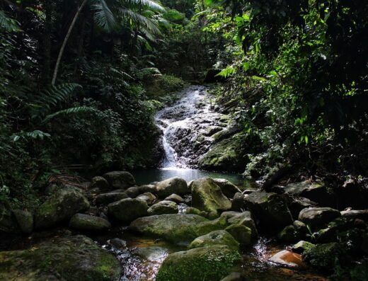 Toro Negro State Forest – Camping Site
