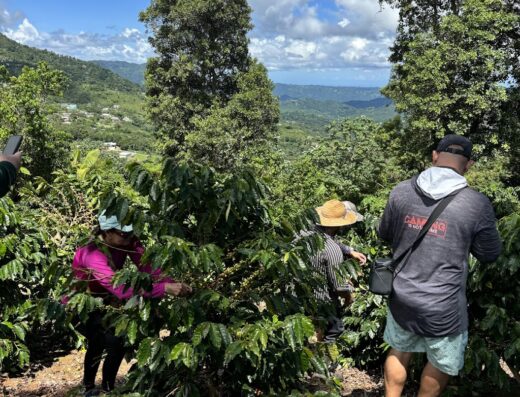 Camping del Holandés