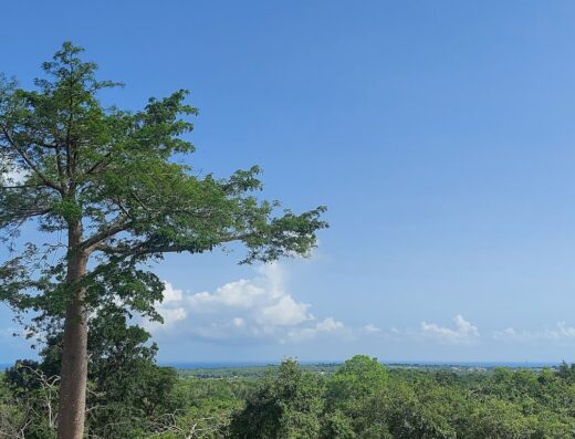 Hacienda Árboles de Vida, Camping, Ecotourism and More