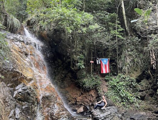 Bosque Estatal de Maricao