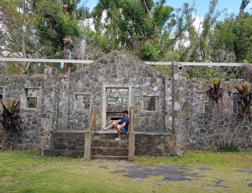 Bosque Estatal de Maricao