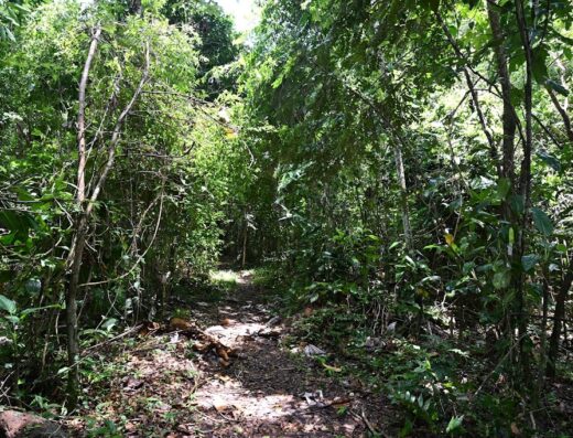 Monte Choca State Park