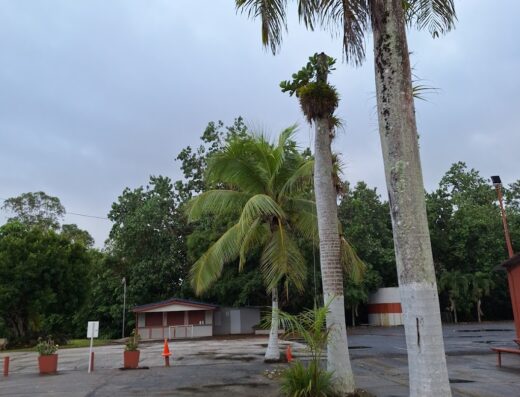 Camp Ebenezer, Cidra