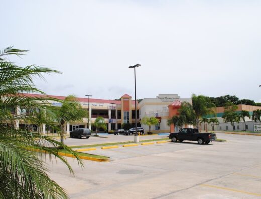 Physical Therapy Services