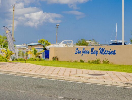 The Puerto Rican Sea Group