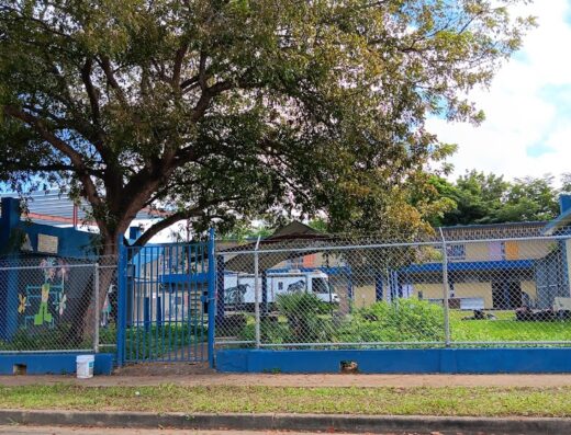 Save A Sato Non Profit Organization