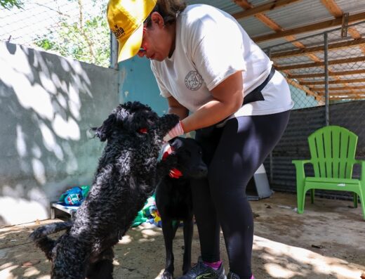 Santuario de Animales San Francisco de Asís