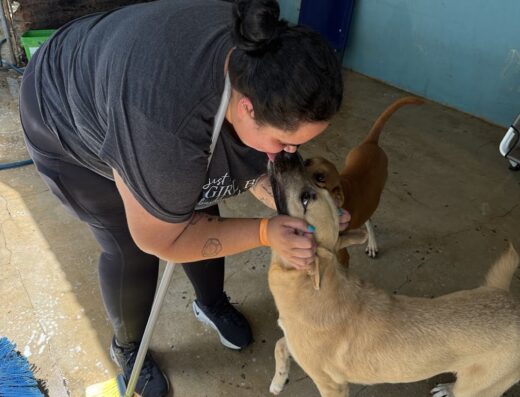 Santuario de Animales San Francisco de Asís