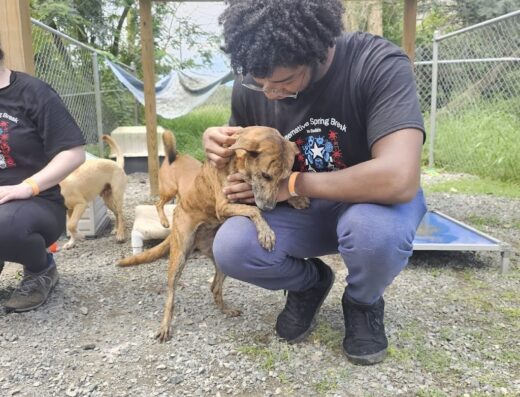 Santuario de Animales San Francisco de Asís