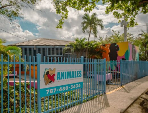 Centro de Protección y Adopción de Animales – Municipio de San Juan