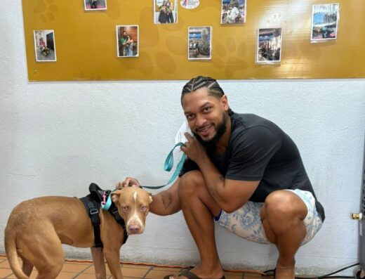 Centro de Protección y Adopción de Animales – Municipio de San Juan