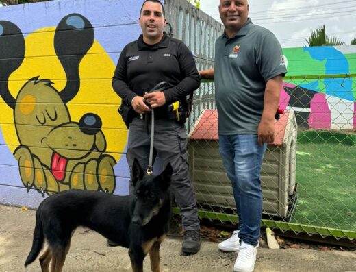 Centro de Protección y Adopción de Animales – Municipio de San Juan