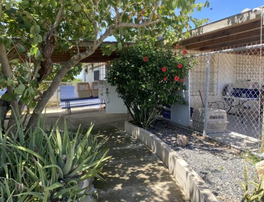 Vieques Humane Society and Animal Rescue