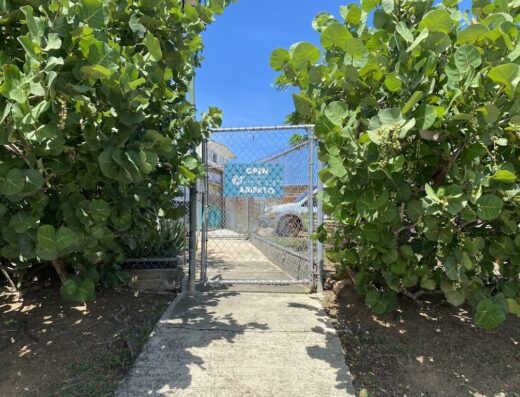 Vieques Humane Society and Animal Rescue