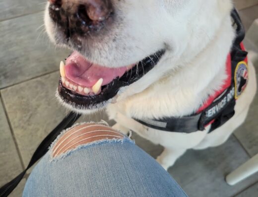 Animal Control Center