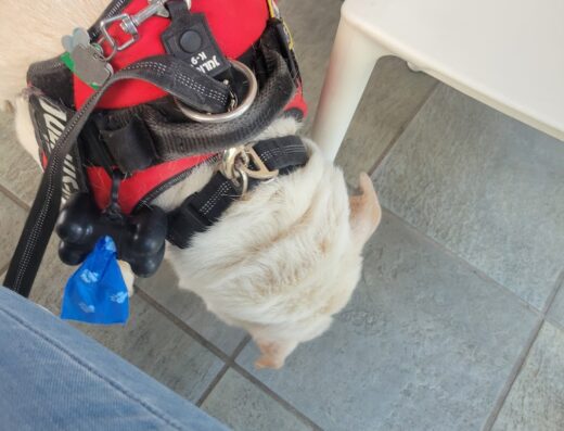 Animal Control Center