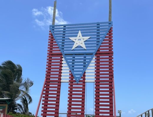 Bandera de Héctor PR Dorado