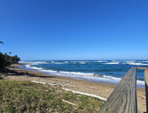 Bandera de Héctor PR Dorado
