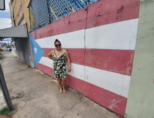 Bandera De Hector PR