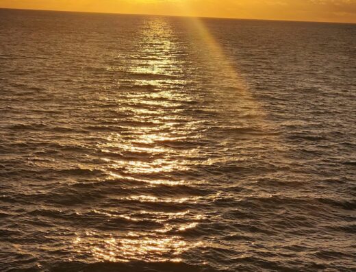 Bandera de Puerto Rico
