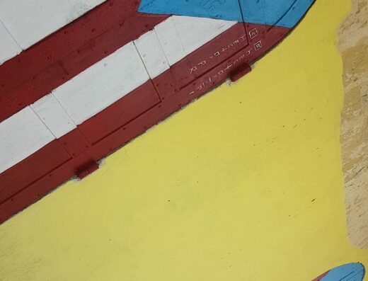 Bandera De Hector PR