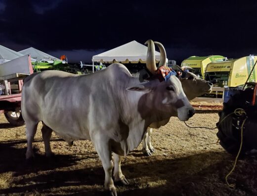 Feria Agrícola Nacional Del Valle De Lajas