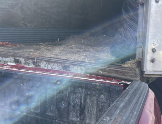 Casa Agrícola Las Américas Inc.