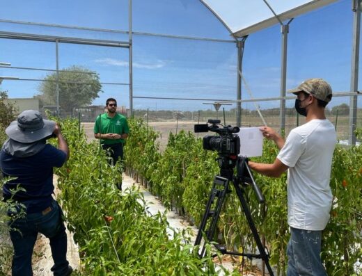 Estación Experimental Agrícola UPR de Juana Díaz