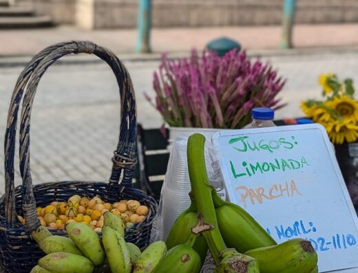 Mercado Agrícola Natural (Mercado Agroecológico)