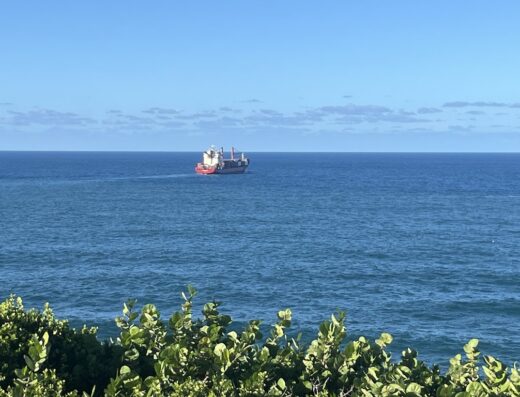 Mercado Agrícola Natural (Mercado Agroecológico)