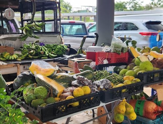 Centro Agricola – Hato Arriba