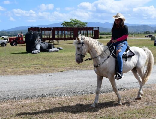 Feria Nacional Agricola de Lajas