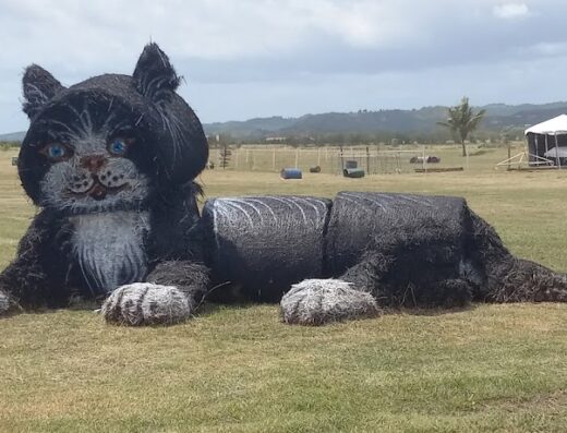 Feria Nacional Agricola de Lajas