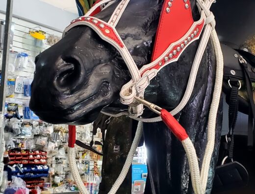 Agrocentro La Campiña